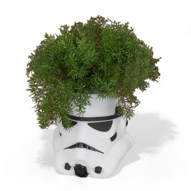 Cachepot Stormtrooper Star Wars