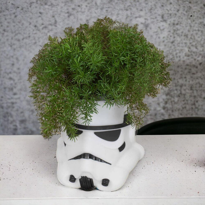 Cachepot Stormtrooper Star Wars